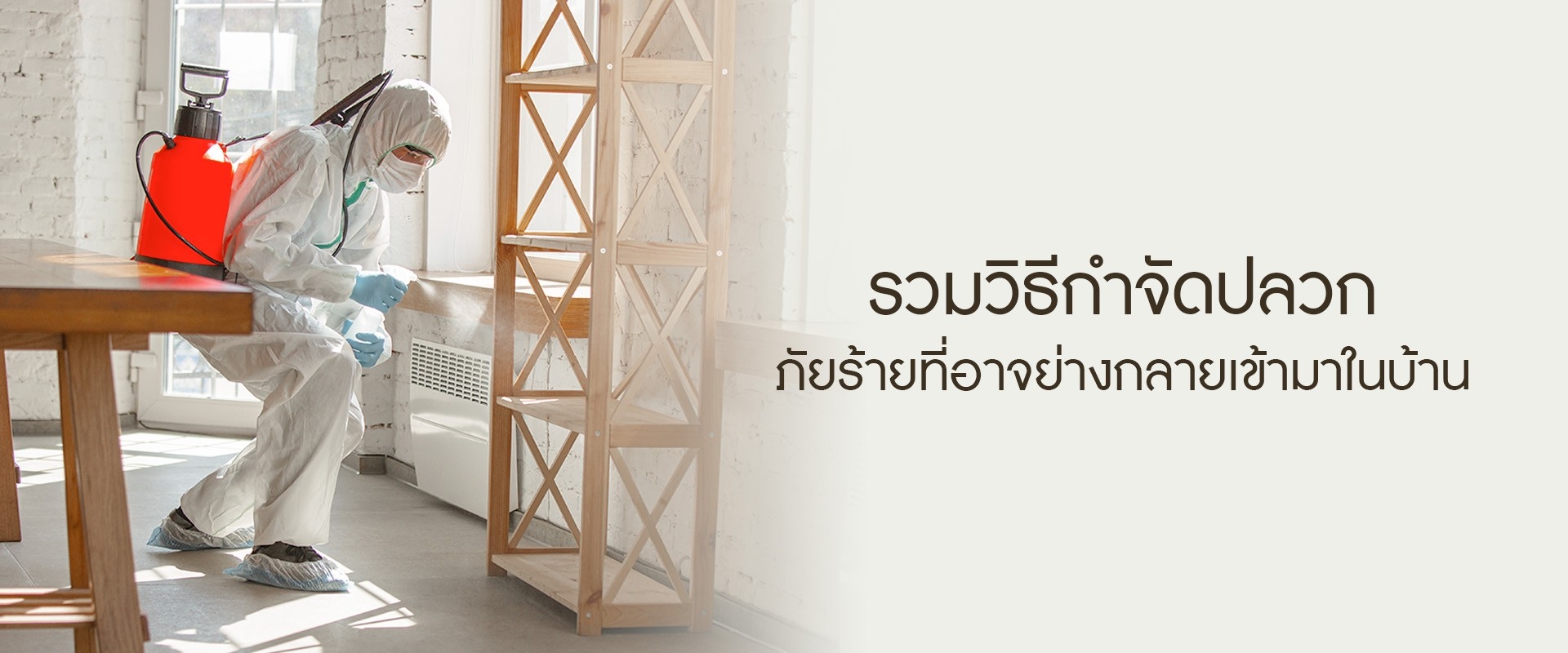 รวมวิธีกำจัดปลวก ภัยร้ายที่อาจย่างกลายเข้ามาในบ้าน