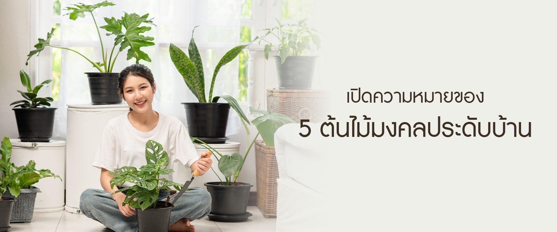 เปิดความหมายของ 6 ต้นไม้มงคลประดับบ้าน